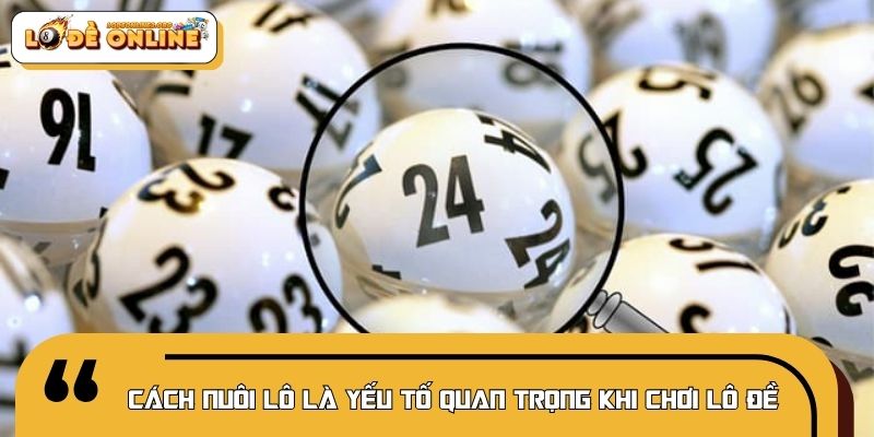 Cách nuôi lô là yếu tố quan trọng khi chơi lô đề