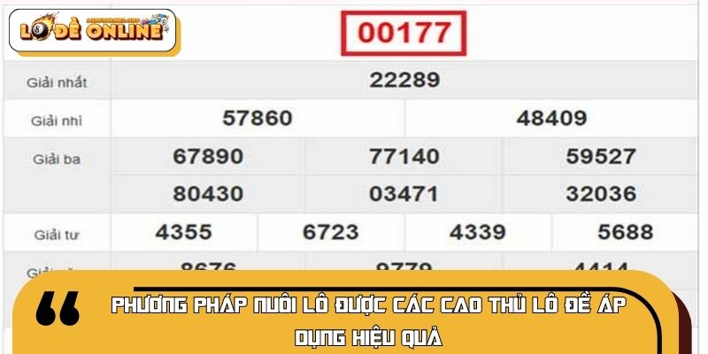 Phương pháp nuôi lô được các cao thủ lô đề áp dụng hiệu quả