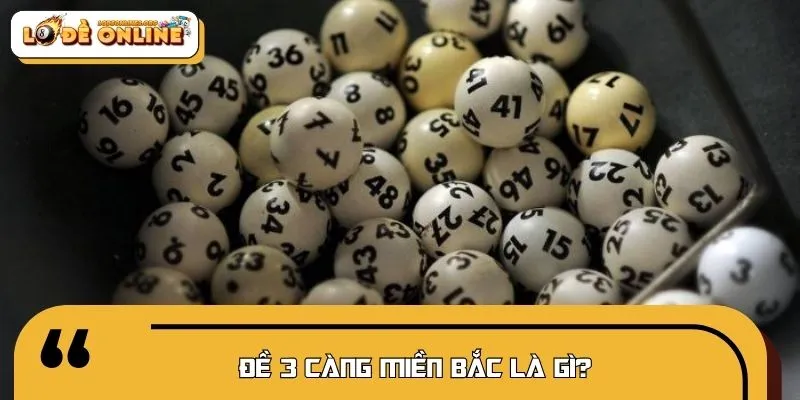 Khái niệm đề 3 càng miền Bắc